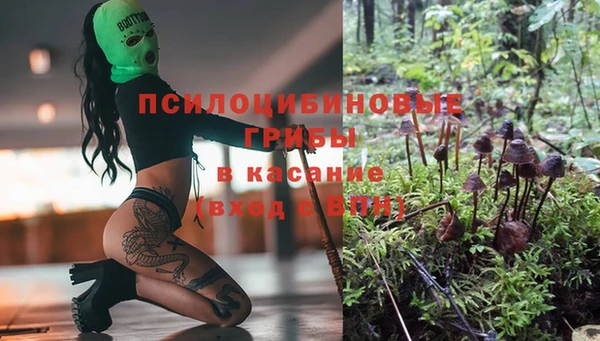 гашиш Заводоуковск