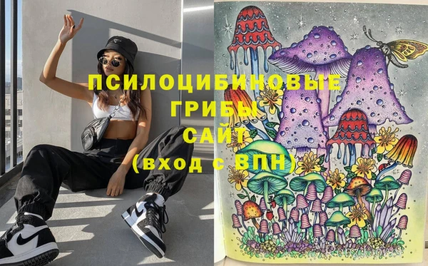 гашиш Заводоуковск