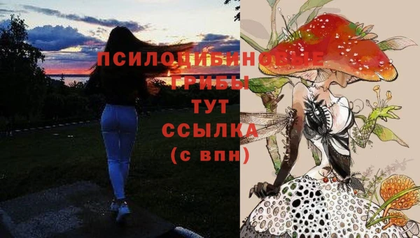 гашиш Заводоуковск